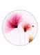 Flowers Printed Fridge Magnet Multicolour