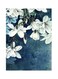 Flower Themed Metallic Plate Blue/White/Green 20x15cm