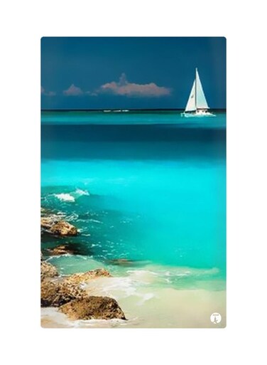 Printed Fridge Magnet Multicolour 8.5x0.4x5.5cm