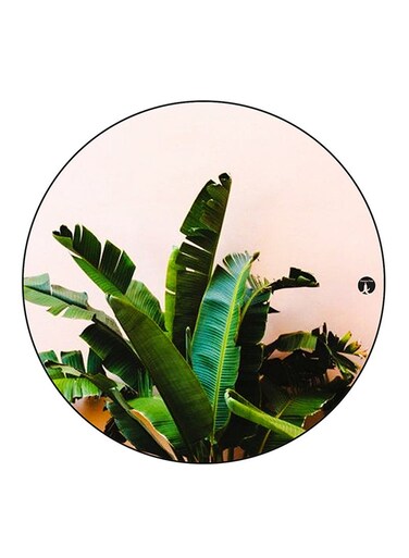 Plant Printed Fridge Magnet Round Multicolour