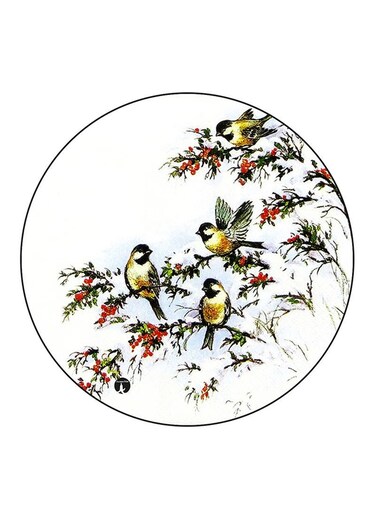 Birds Printed Fridge Magnet Multicolour