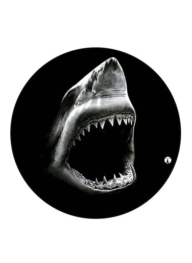 Shark Printed Fridge Magnet Multicolour