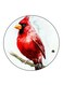 Bird Printed Fridge Magnet Multicolour