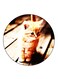 Cat Printed Fridge Magnet Multicolour