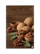 Printed Fridge Magnet Multicolour 8.5x0.4x5.5cm