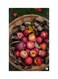 Printed Fridge Magnet Multicolour 8.5x0.4x5.5cm