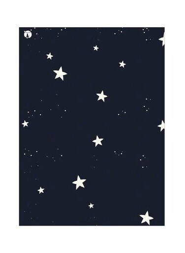 Stars Themed Metallic Plate Black/White 20x15cm