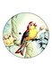 Birds Printed Fridge Magnet Multicolour