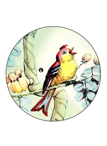 Birds Printed Fridge Magnet Multicolour
