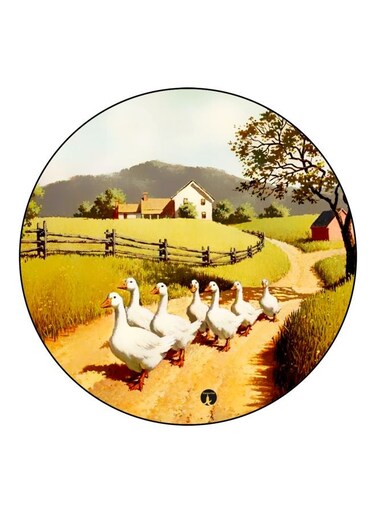 Ducks Printed Fridge Magnet Green/Brown/White 5.5cm