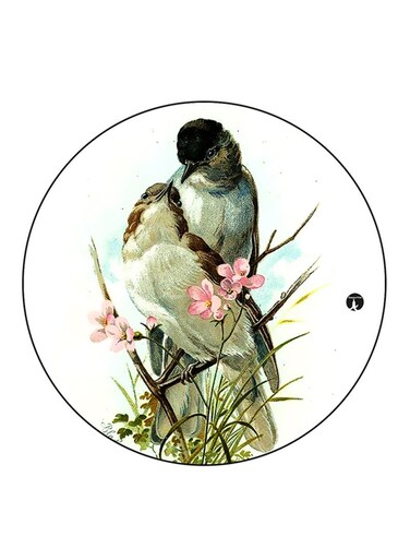 Birds Printed Fridge Magnet Multicolour