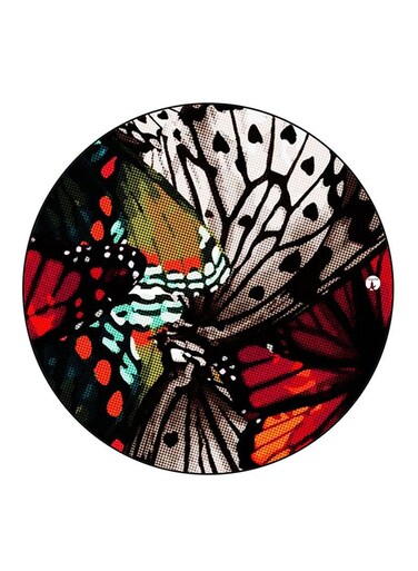 Butterflies Printed Fridge Magnet Round Multicolour