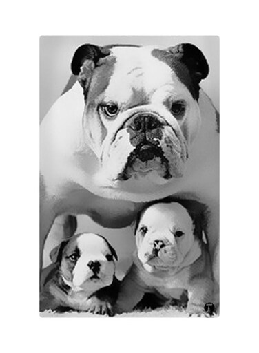 Printed Fridge Magnet Black/White 8.5x0.4x5.5cm