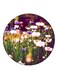 Flowers Printed Fridge Magnet Green/White/Purple 5.5cm