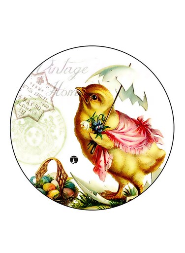 A Chick Printed Fridge Magnet Multicolour