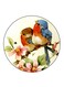 Birds Printed Fridge Magnet Multicolour