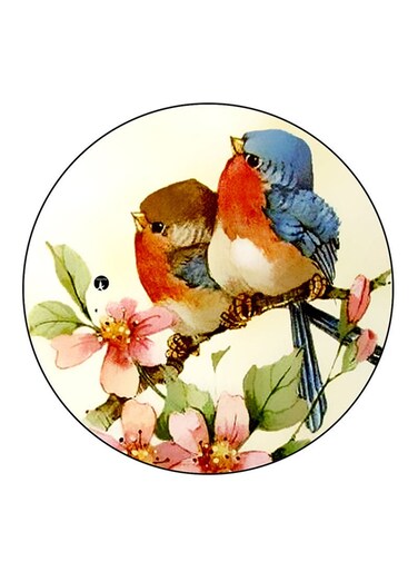 Birds Printed Fridge Magnet Multicolour