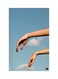 Printed Fridge Magnet Multicolour 8.5x0.4x5.5cm