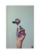 Printed Fridge Magnet Multicolour 8.5x0.4x5.5cm