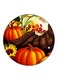 Pumpkins Printed Fridge Magnet Multicolour