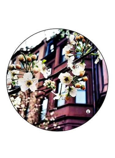 Flowers Printed Fridge Magnet Round Multicolour