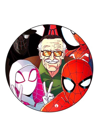 Spiderman Printed Fridge Magnet Multicolour