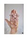 Printed Fridge Magnet Multicolour 8.5x0.4x5.5cm