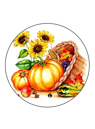 Pumpkin Printed Fridge Magnet Multicolour