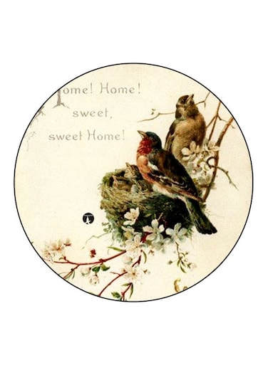 Birds Printed Fridge Magnet Beige/Green/Brown 5.5cm