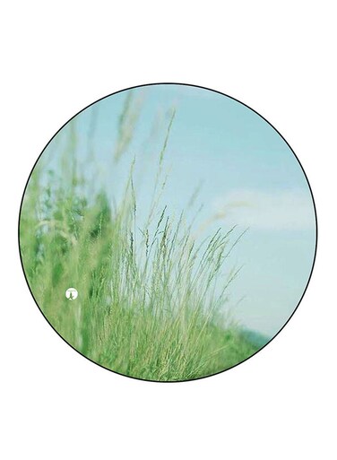 Plants Printed Fridge Magnet Multicolour