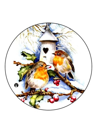 Birds Printed Fridge Magnet White/Blue/Orange 5.5cm