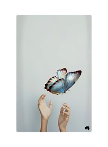 Printed Fridge Magnet Multicolour 8.5x0.4x5.5cm