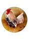 Rooster Printed Fridge Magnet Round Multicolour