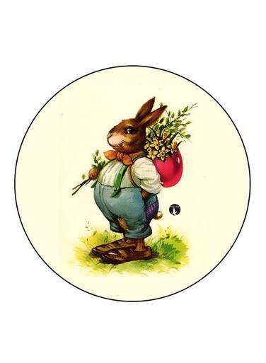 A Rabbit Printed Fridge Magnet Multicolour