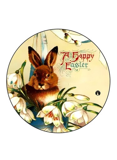 Rabbit Printed Fridge Magnet Round Multicolour