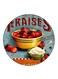 Strawberries Printed Fridge Magnet Multicolour