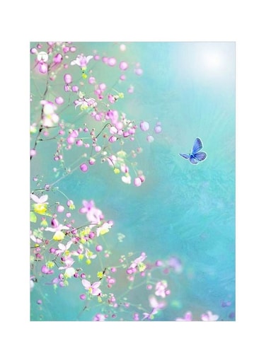 Flowers And Butterfly Themed Metallic Plate Blue/Pink/Yellow 20x15cm