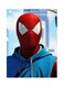 Spider Man Themed Metallic Plate Blue/Red/White 20x15cm