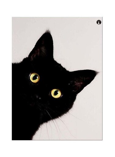 Cat Themed Metallic Plate Black/Yellow/White 20x15cm