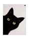 Cat Themed Metallic Plate Black/Yellow/White 20x15cm