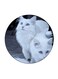 Cats Printed Fridge Magnet Multicolour