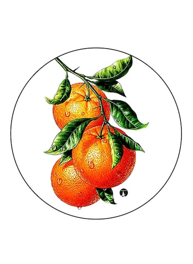 Oranges Printed Fridge Magnet Multicolour