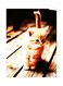 Cat Themed Metallic Plate Beige/Brown/Black 20x15cm