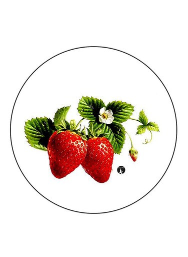 Strawberries Printed Fridge Magnet Multicolour
