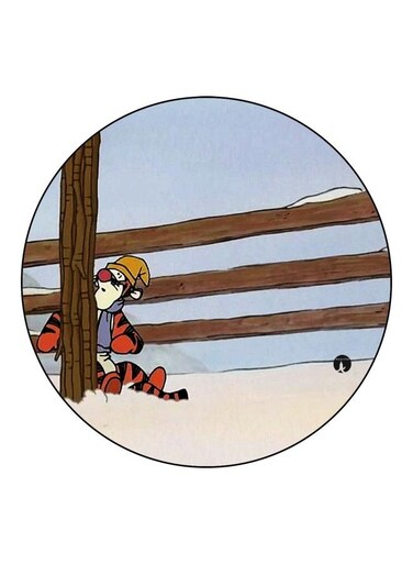 Tiger Printed Fridge Magnet Brown/Red/White 5.5cm