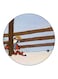 Tiger Printed Fridge Magnet Brown/Red/White 5.5cm