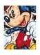 Mickey Mouse Printed Metallic Plate Multicolour 20x15cm