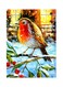 Bird Themed Metallic Plate Orange/Blue/Yellow 20x15cm