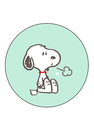 Snoopy Printed Fridge Magnet Multicolour