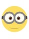 Minions Printed Fridge Magnet Yellow/Grey/White